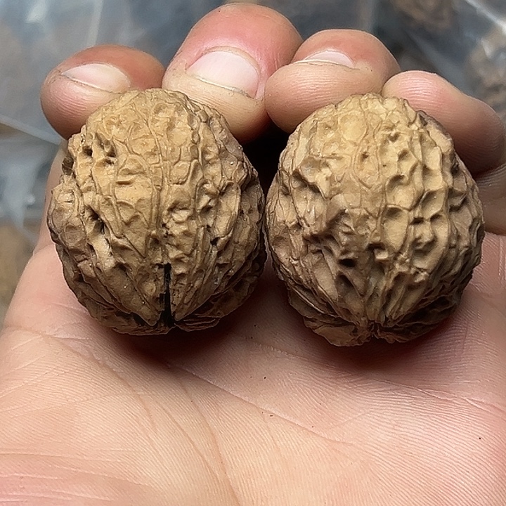 文玩核桃把件30号七彩夜叉40尺