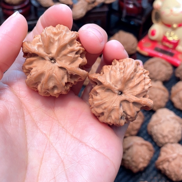 原装苹果园4.0全品无修。