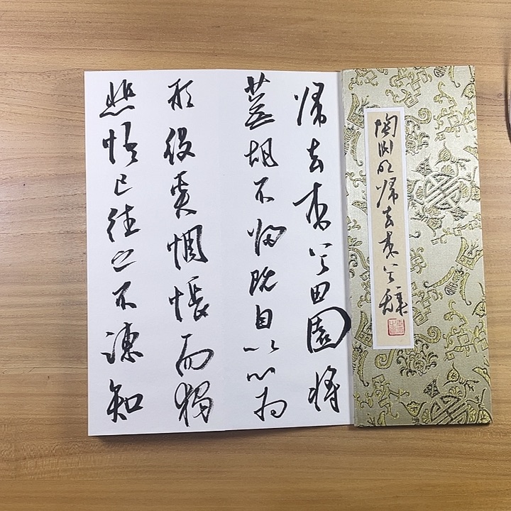 书法中书协老师作品