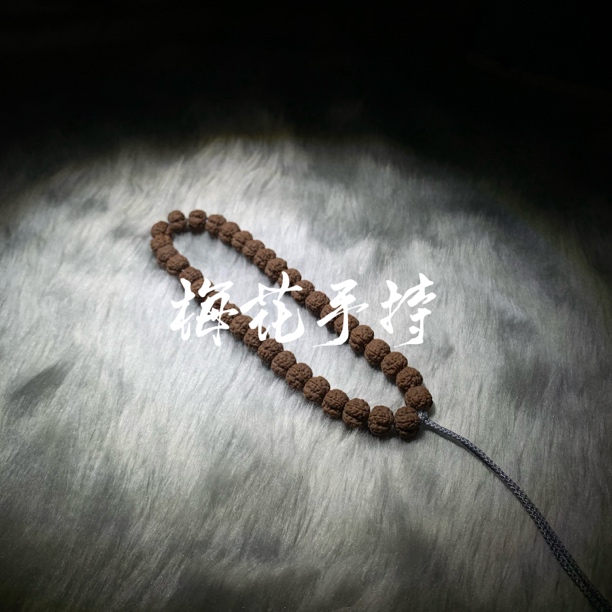 老树梅花手持小金刚菩提