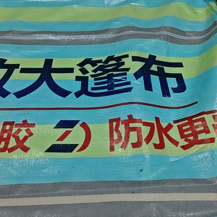 绒质哈哈哈哈哈哈是是是