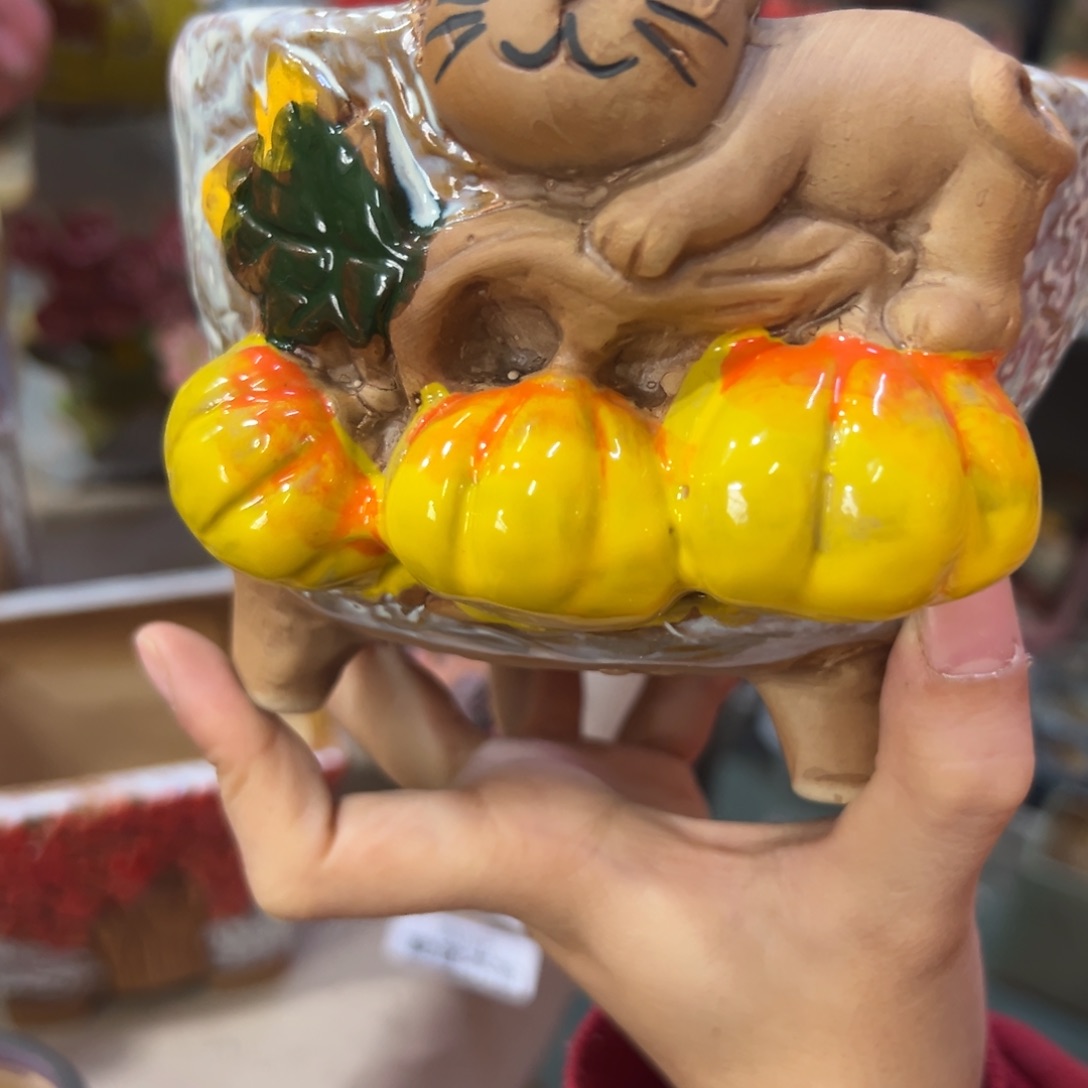 满18.8米包邮秒退拉黑