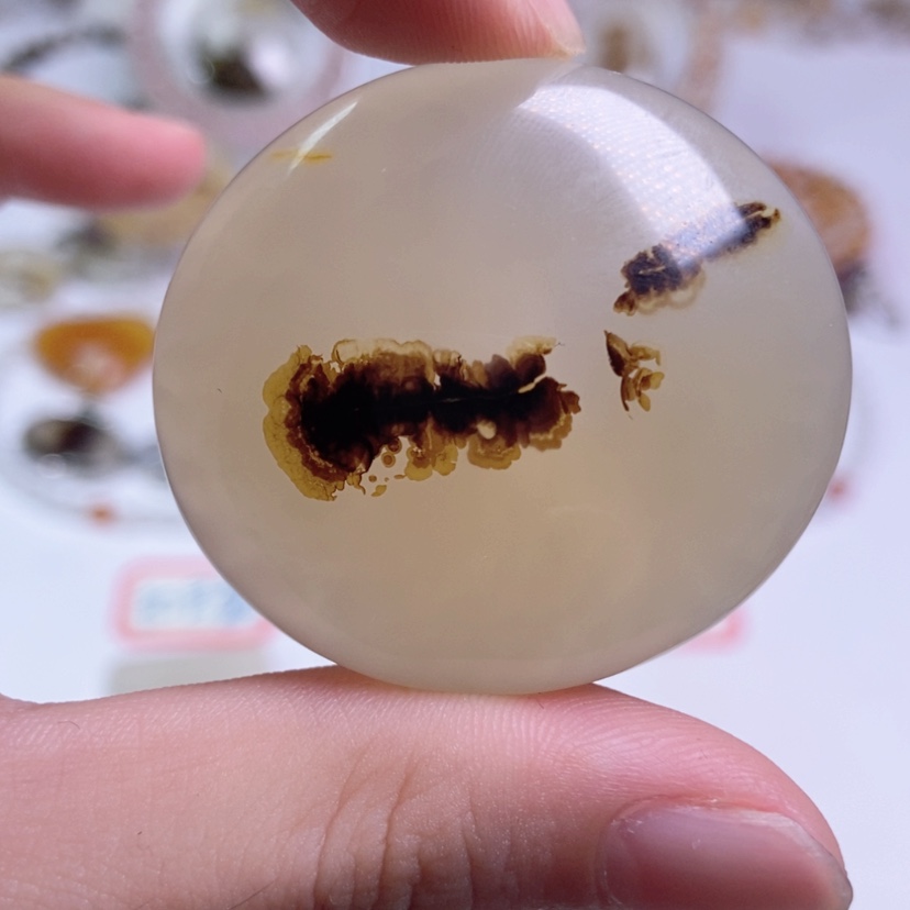 【闪购商品】玛瑙/玉髓颈饰合金