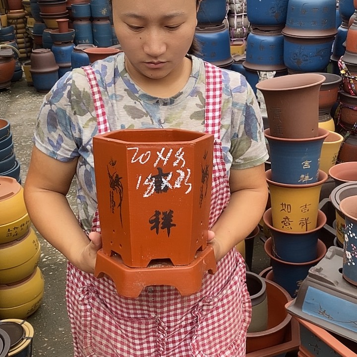 紫砂花盆盆栽花卉苗木种植