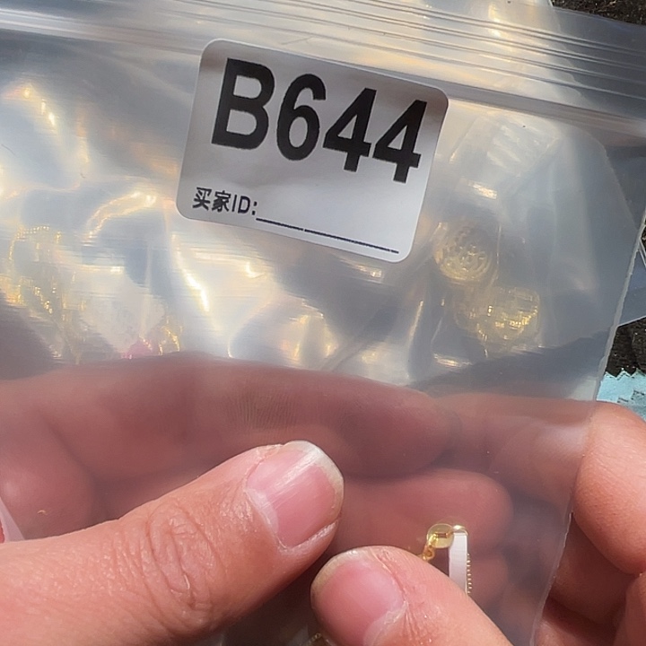 大果紫檀（缅甸花梨）644