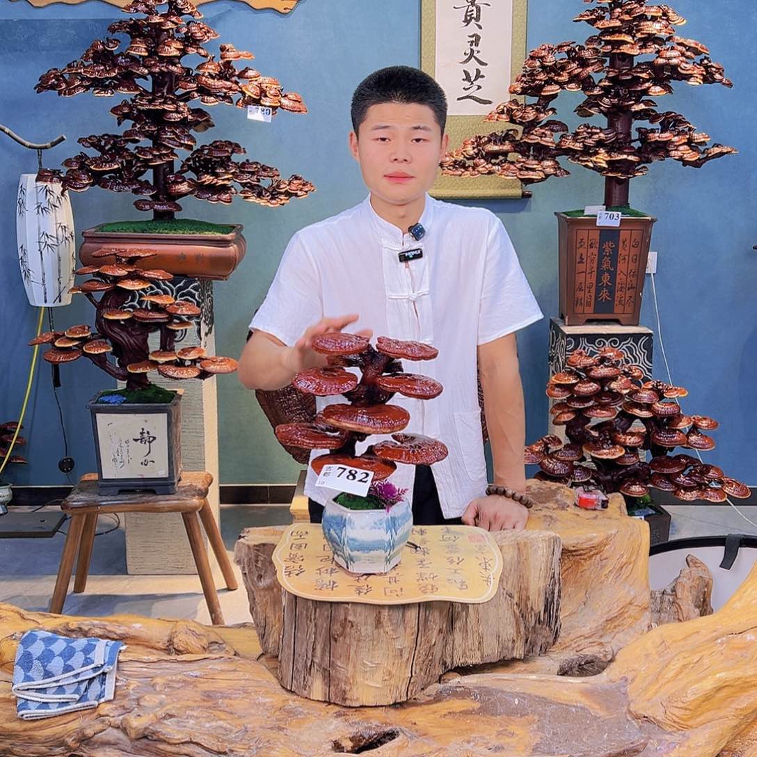 无花朵888888888888888888