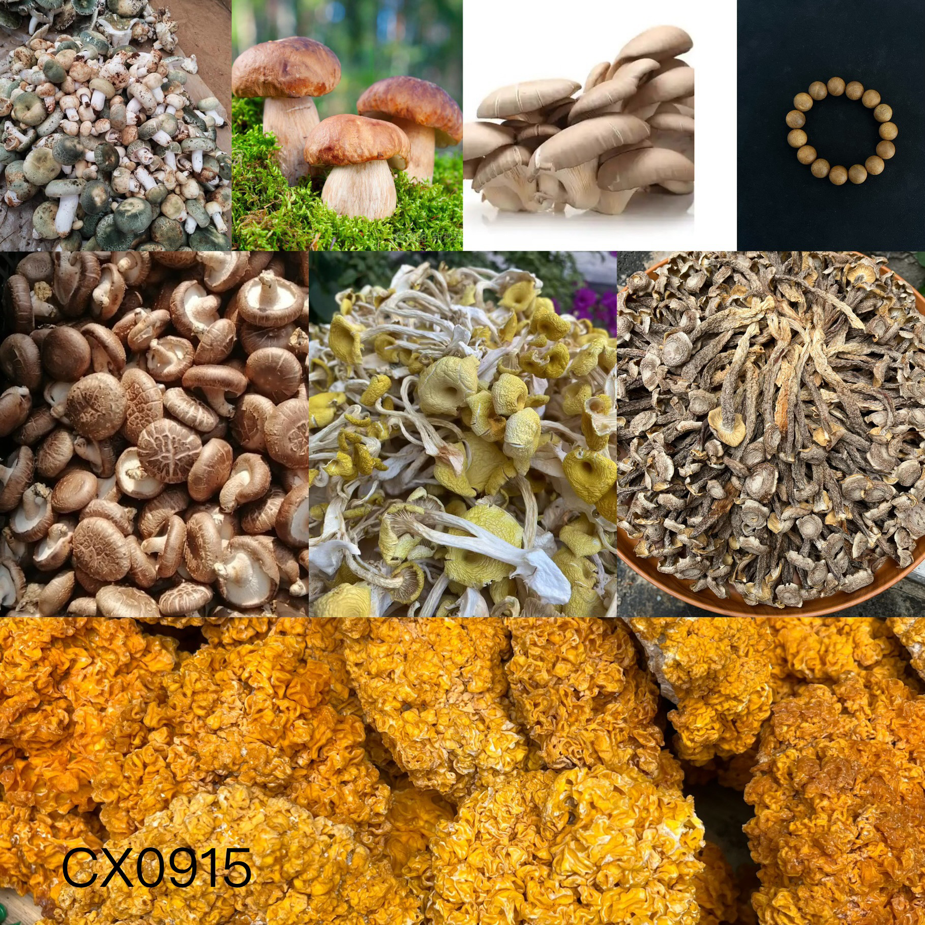 《阿浩专用土特产CX0915》多样性发货 重量33克左右