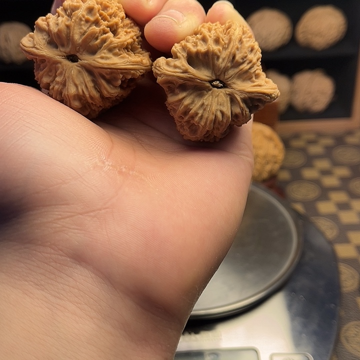 M***L大叶紫檀（黑酸枝木类）