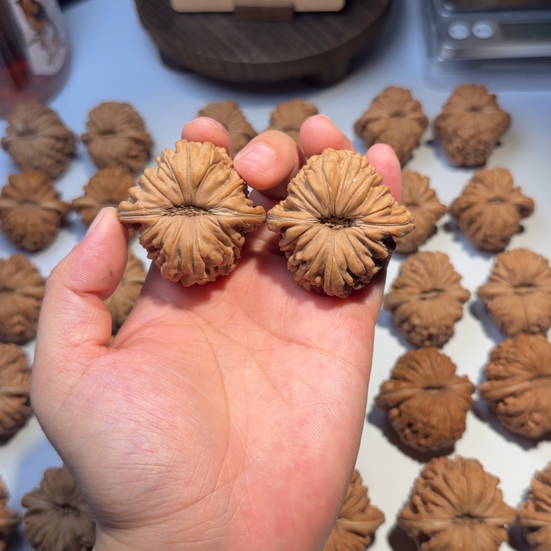 核桃手串/手链43肉拱桥楼文玩核桃