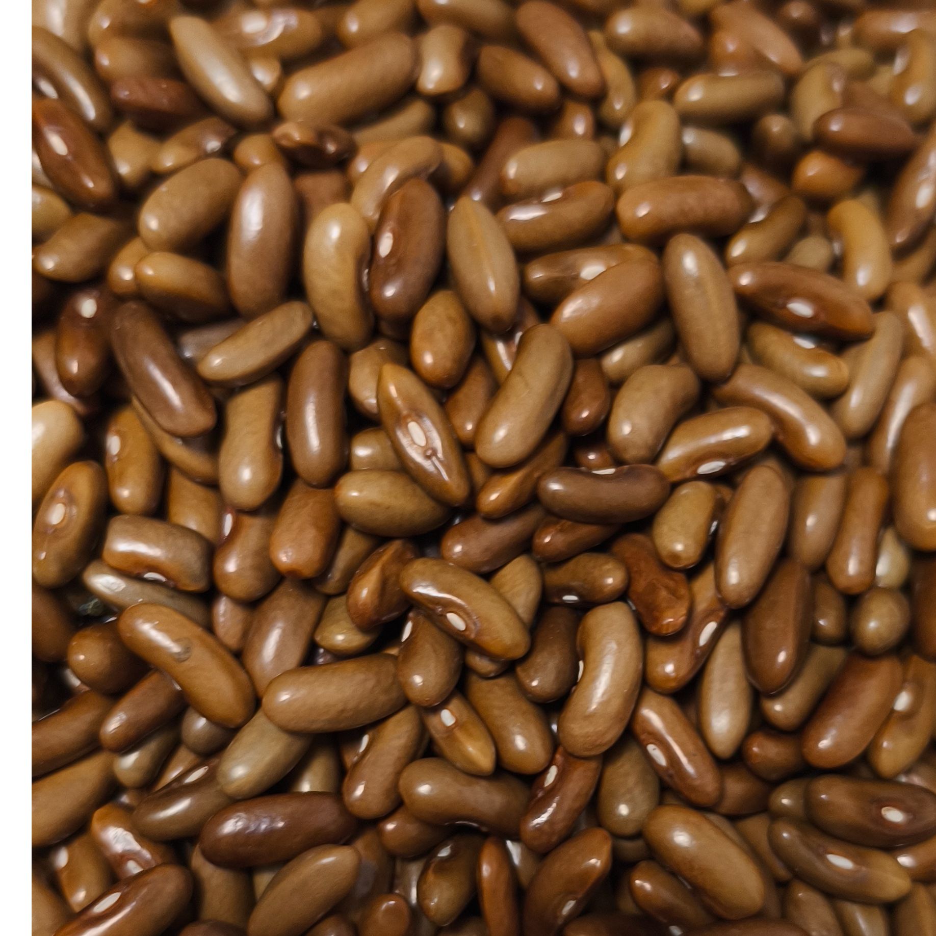 汝城特产高山农户自种泥鳅五谷杂粮豆可煲汤干货可煮粥