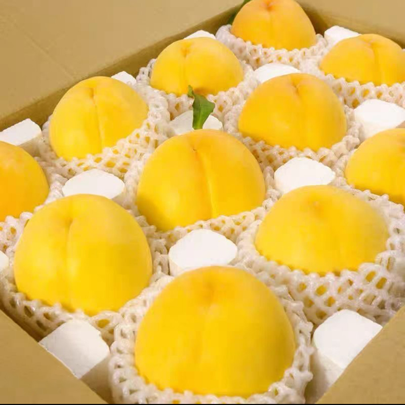 【果园直发】现摘现发陕西黄桃锦绣秦岭脆甜当季新鲜桃子时令水果