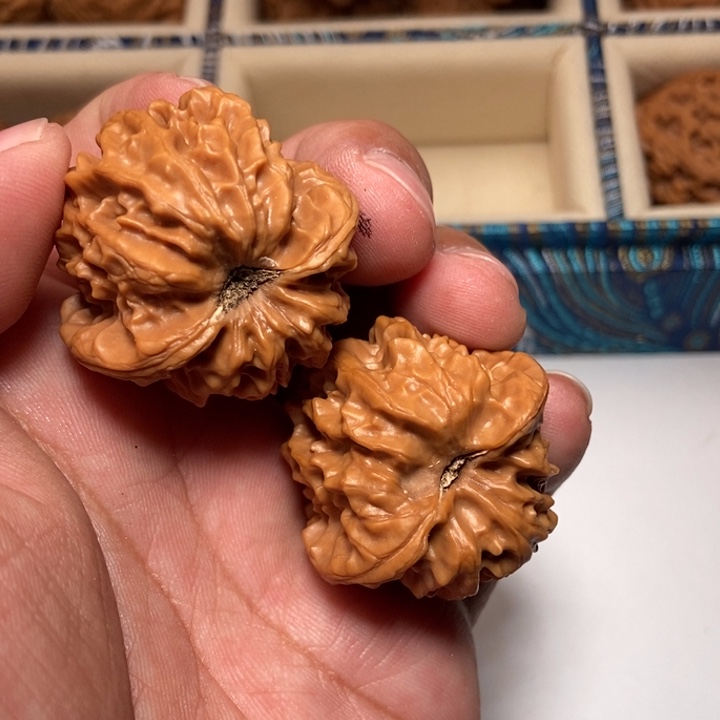 文玩核桃把件布*德曹大龙