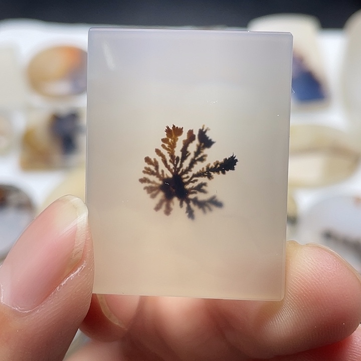 水***社玛瑙/玉髓未镶嵌颈饰