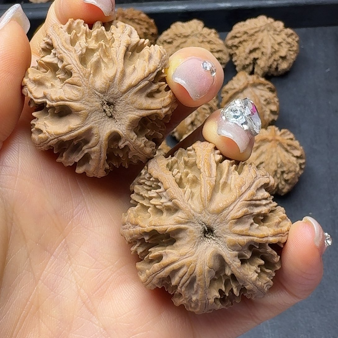 嗯***！桃木突突突突突突突