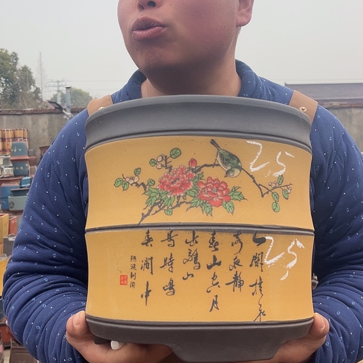 紫砂紫砂花盆盆栽