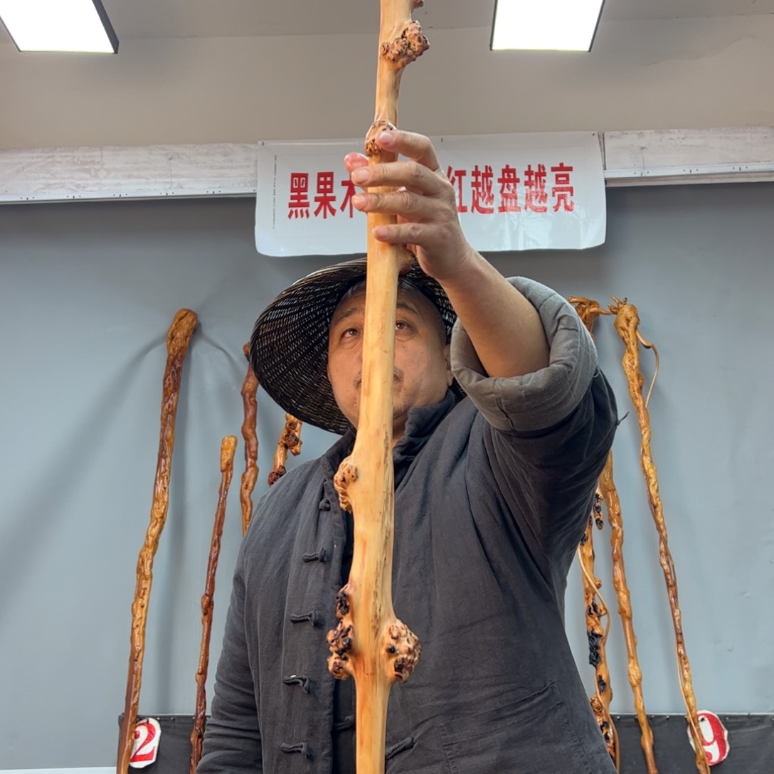 黑果木其他黑果木449