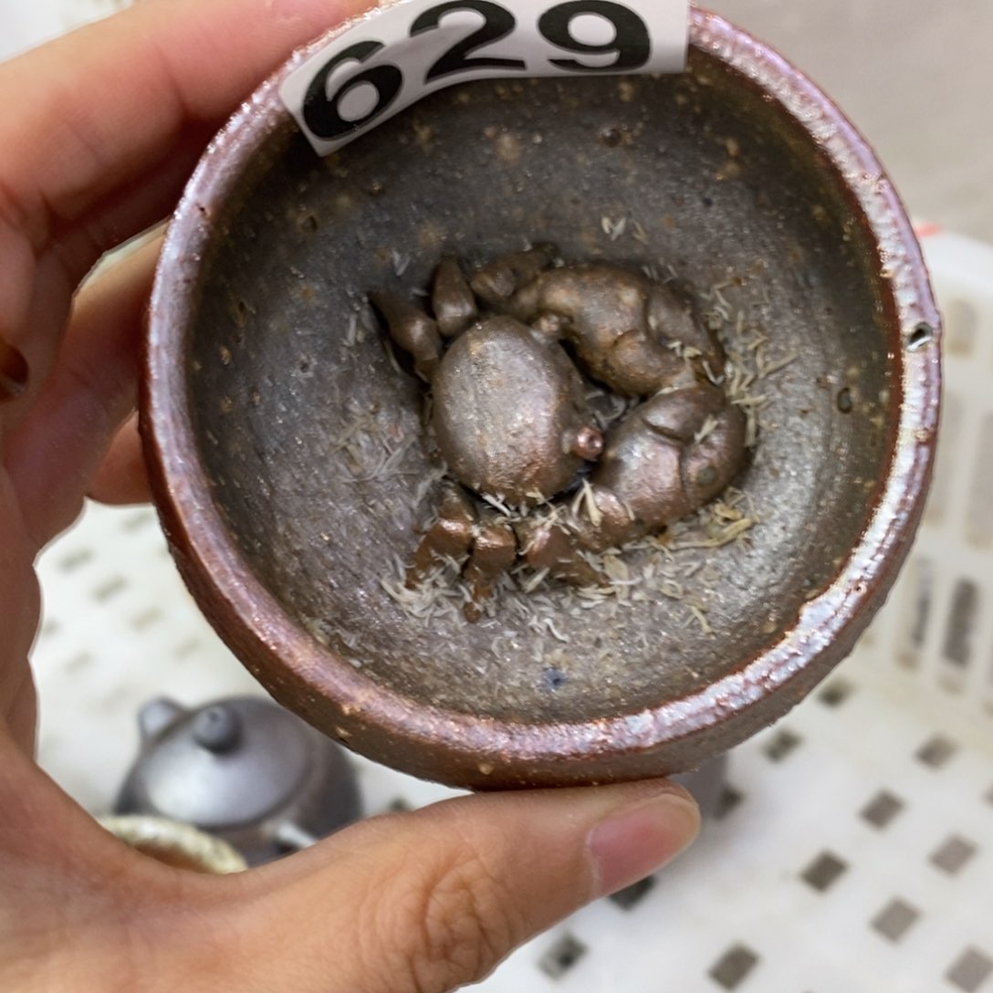 陶园柴烧 精品高货629