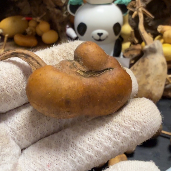 金***娃76667767777888888998