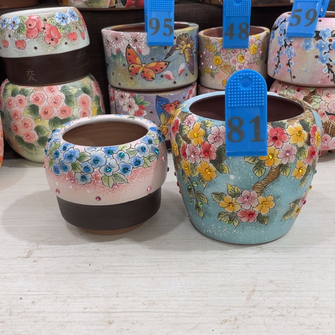 红陶郭*姐特价多肉花盆