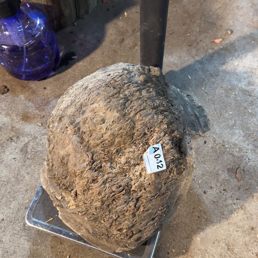 坎***生花梨木类042花梨留疤