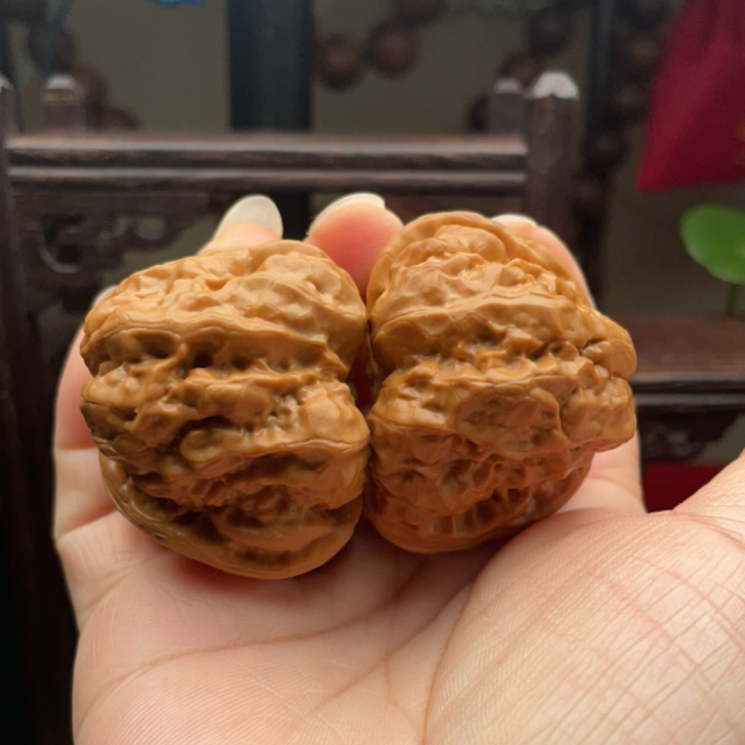 金蟾蛤蟆头文玩核桃大尺寸开背山地果有腿有眼上色快