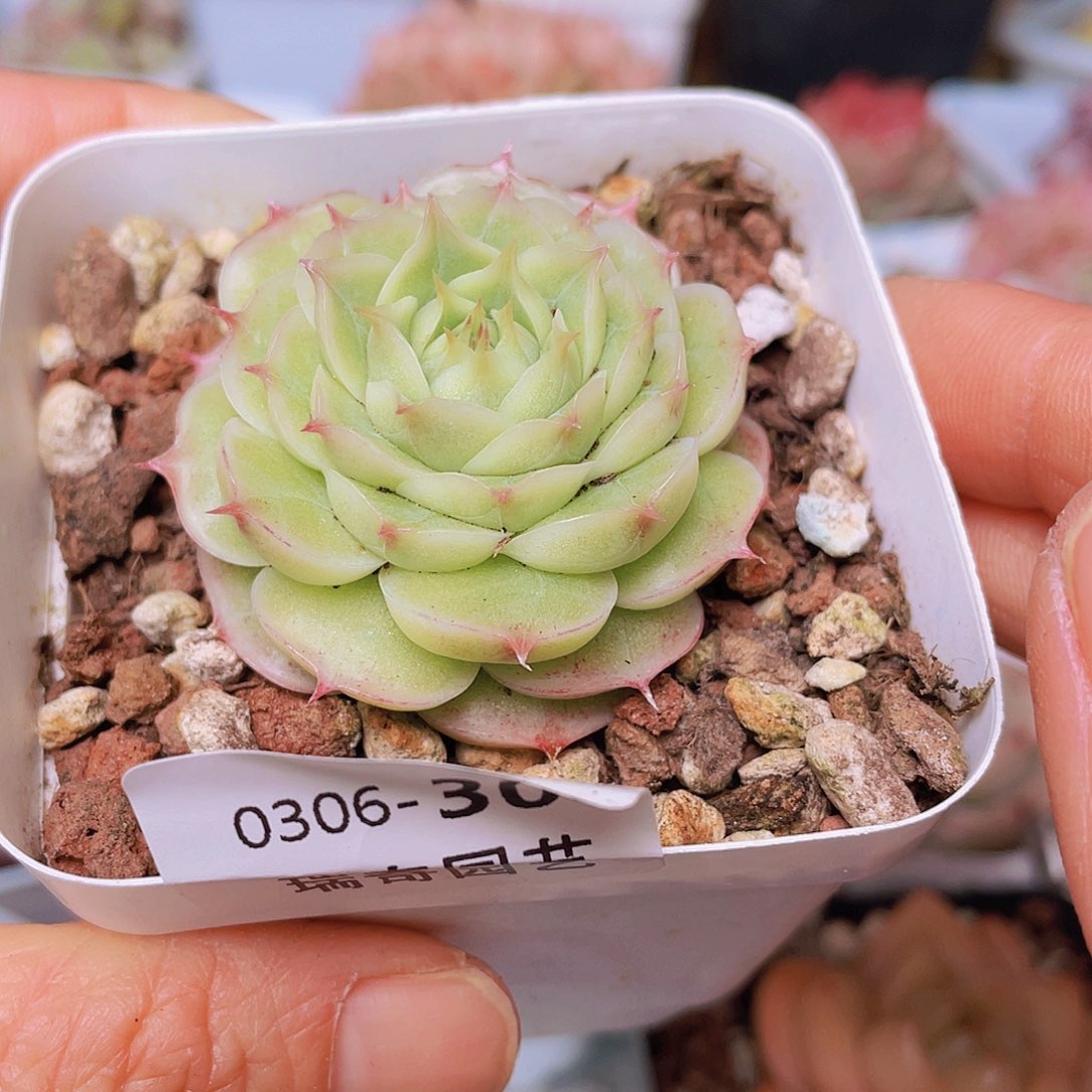 000000000000.00000308量拍