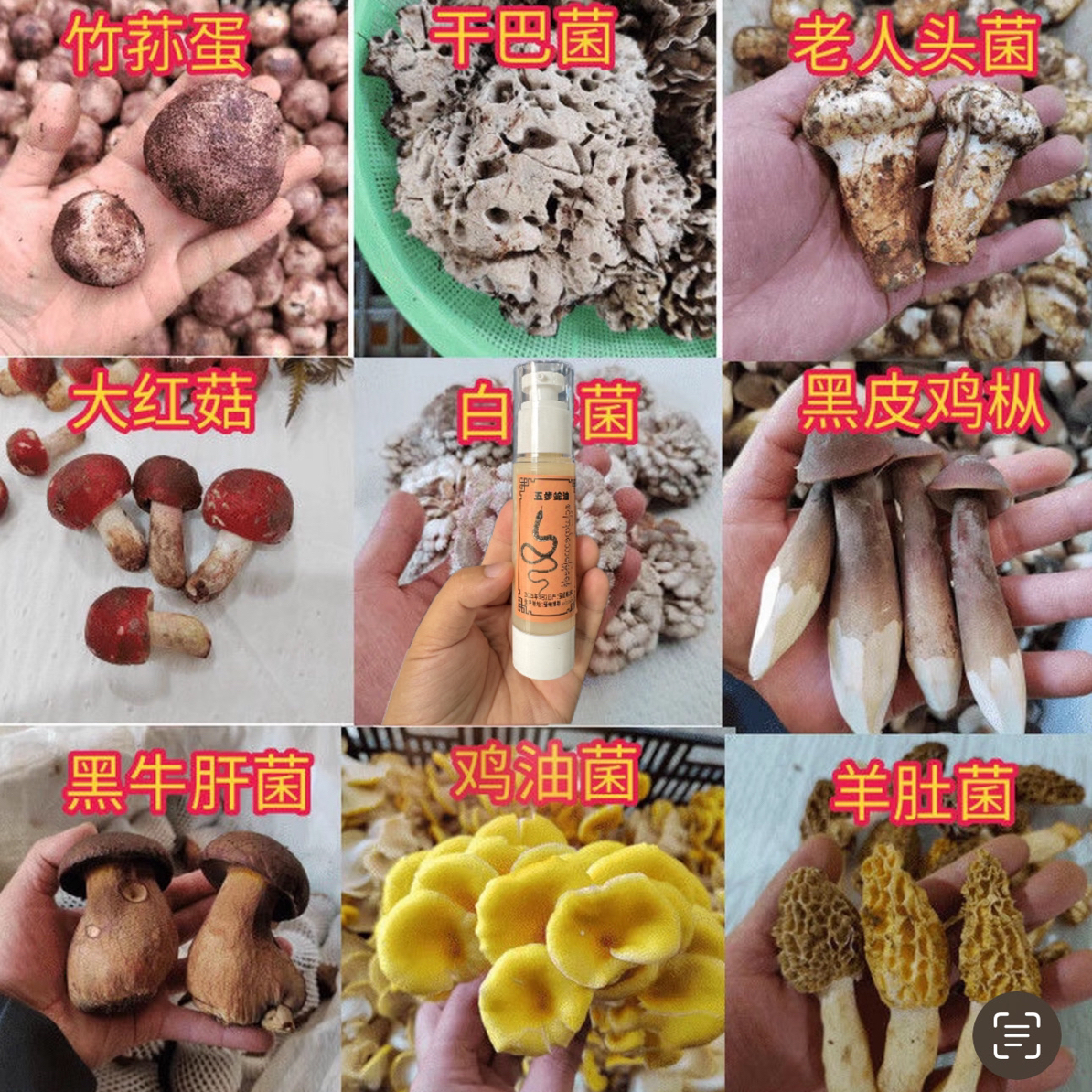 【中缅越边境山货】正·宗·5·毒·蛇·油——50g-100g初级农产品香菇