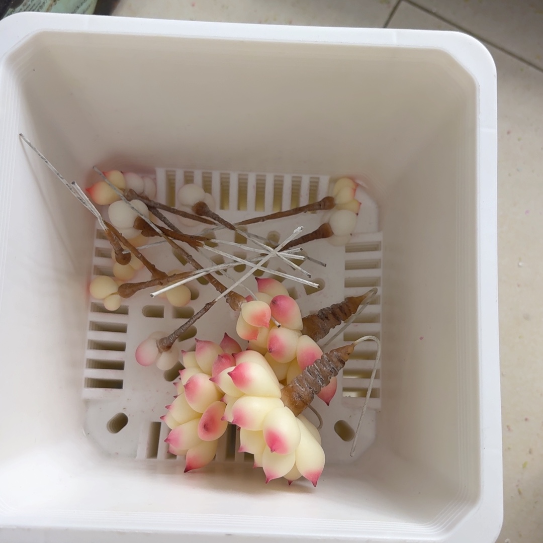 丫***蛙树脂制品9号一筐你