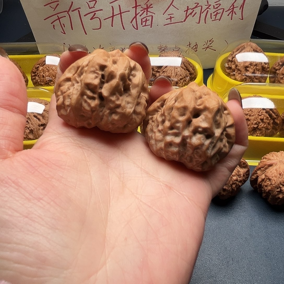 核桃40尺寸肌肉蛙蛙