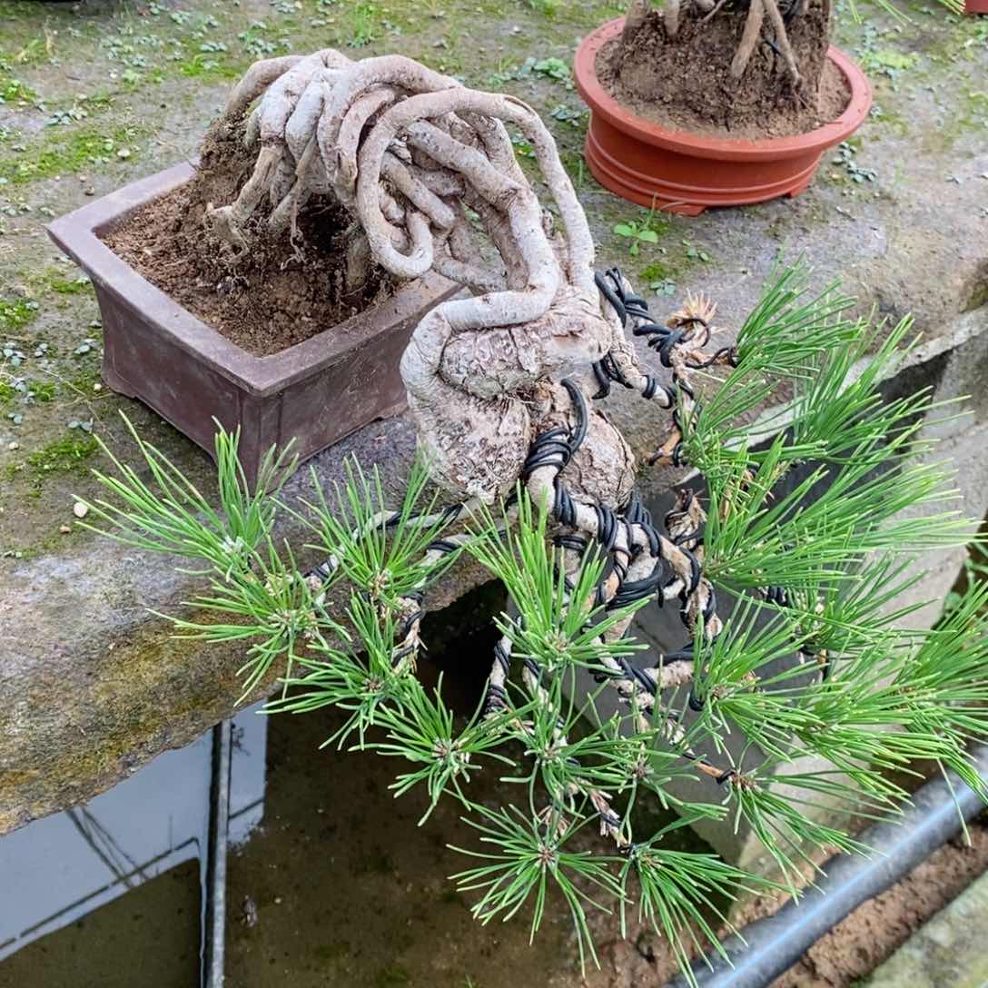 手工艺品琉璃石**花
