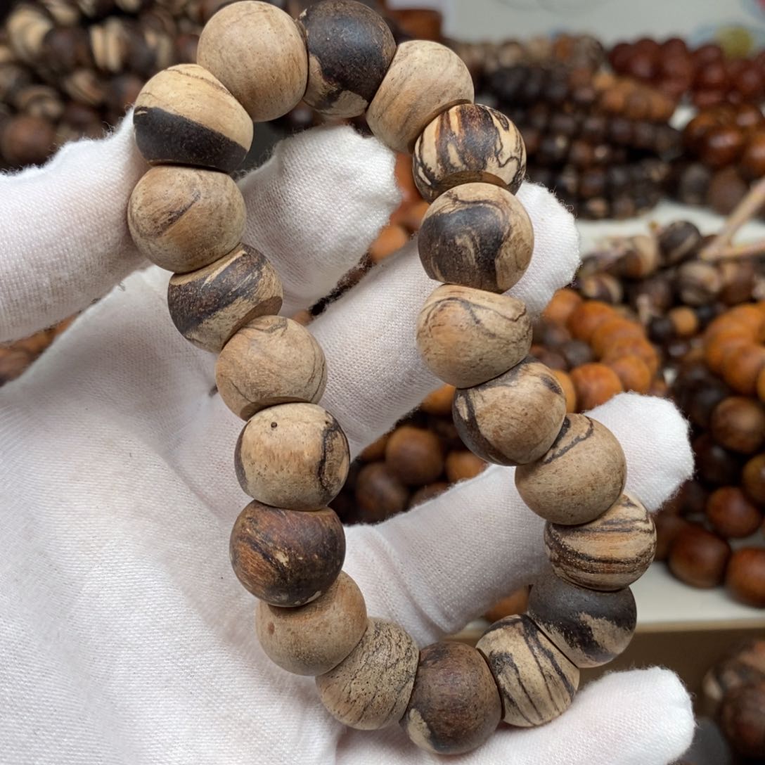 贡木福利虎斑大肠1.5