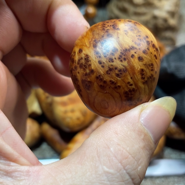 其他柏木（崖柏）把