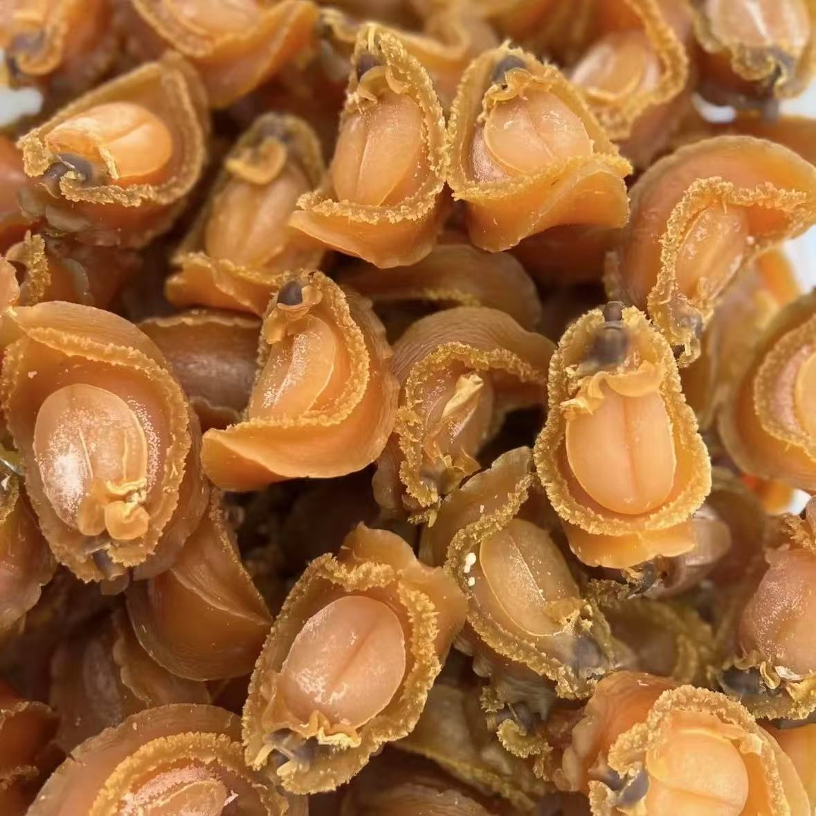 W    鲍鱼干 400g 炖汤煮粥焖肉 干货 广东汕头