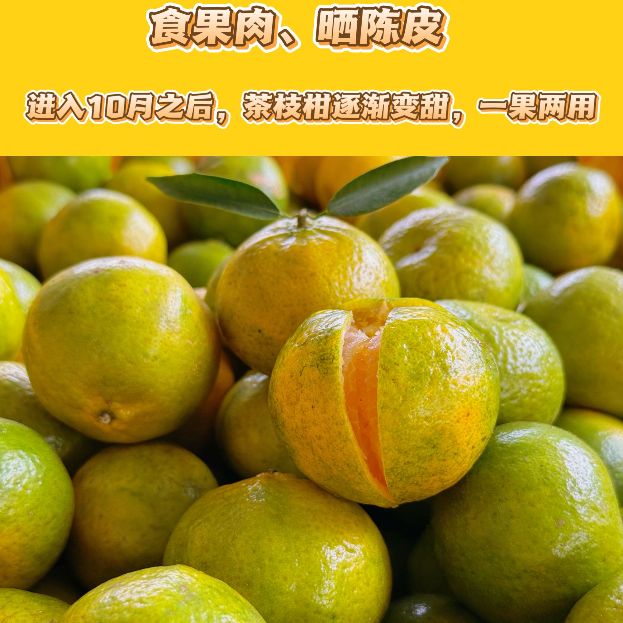 【11年老树】二红鲜果 新会茶枝柑 自家果园 假一赔十