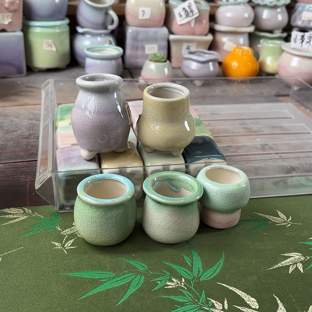 量货/3口高4深浅搭配发12