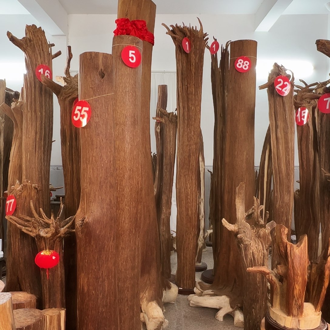 S***德沉香摆件沉香原料6