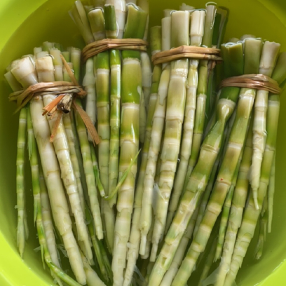 山竹笋：春笋.笋子.竹笋