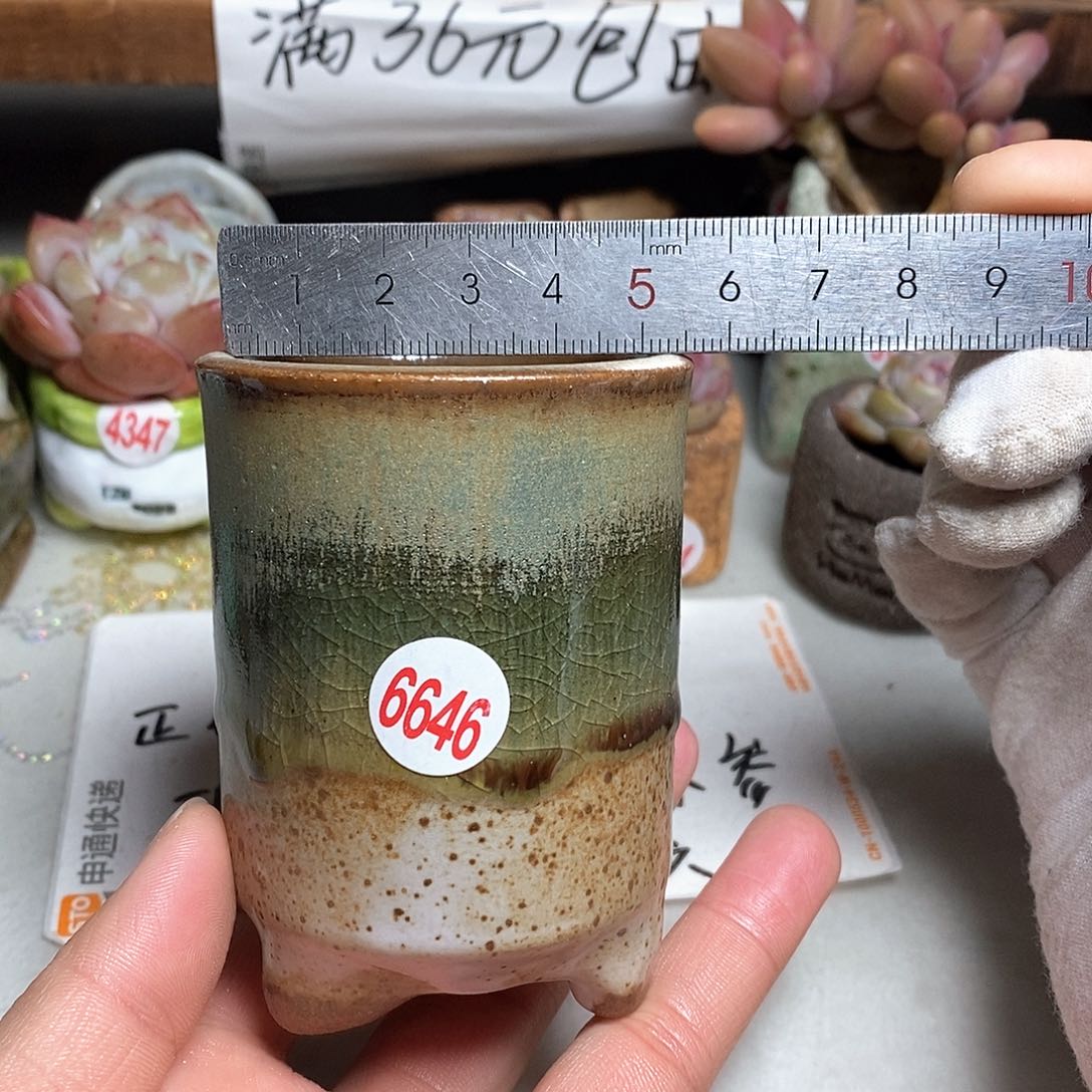 红陶拍5送一个小