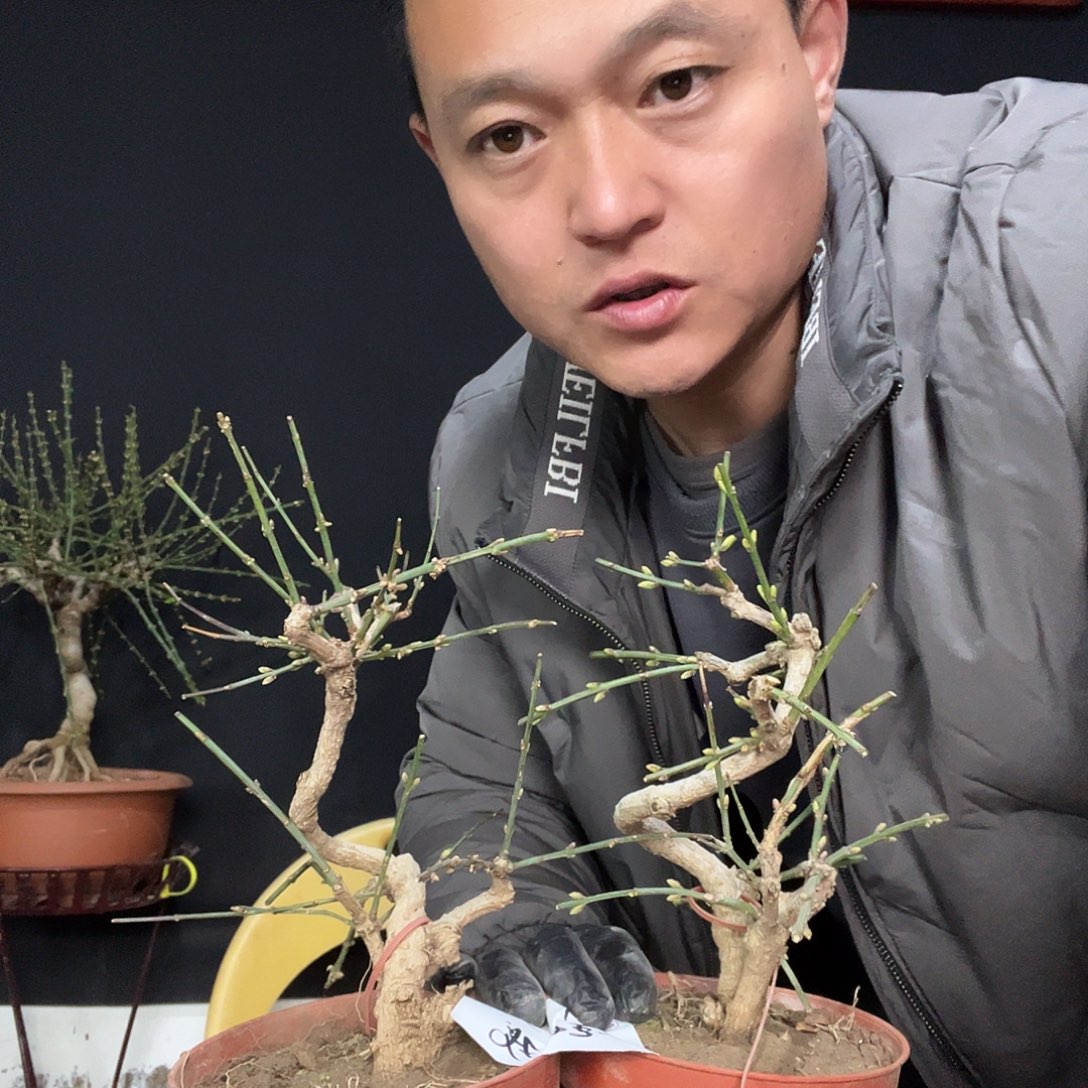 人***戏无花朵谢谢你的关心和支持