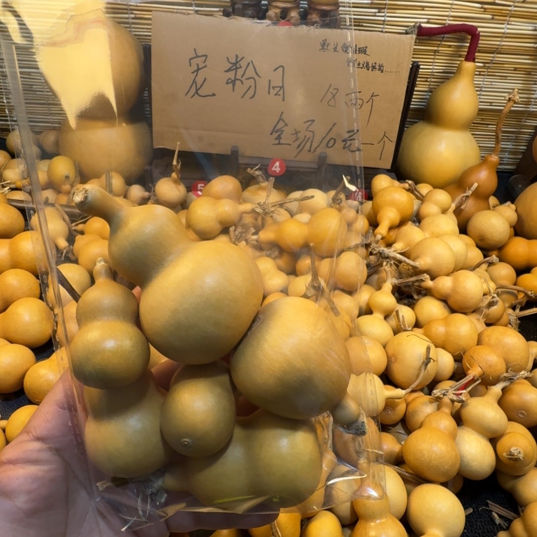 好好好好好好好好