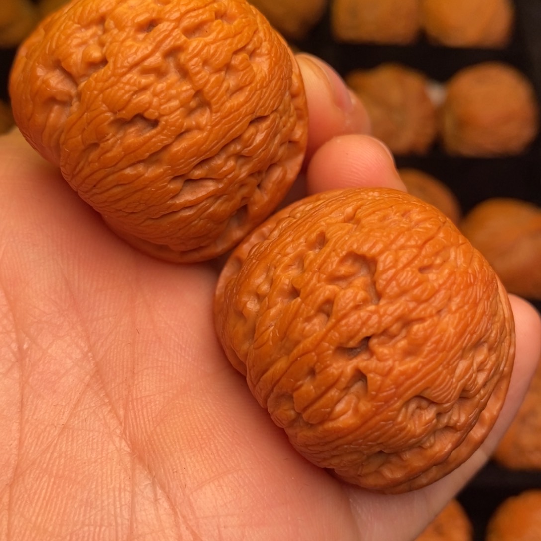 秦岭野生文玩核桃