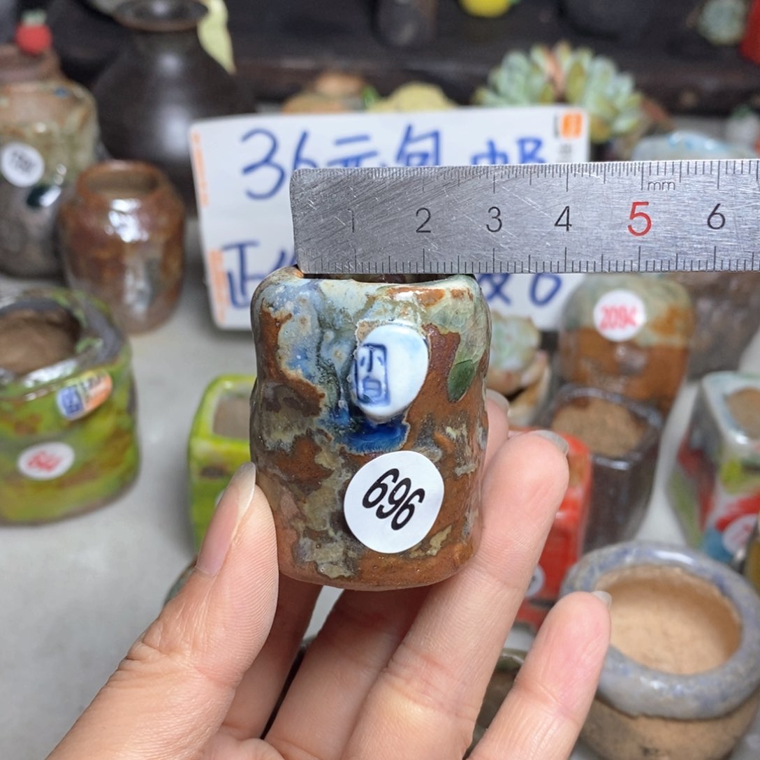 拍5送一个小礼物