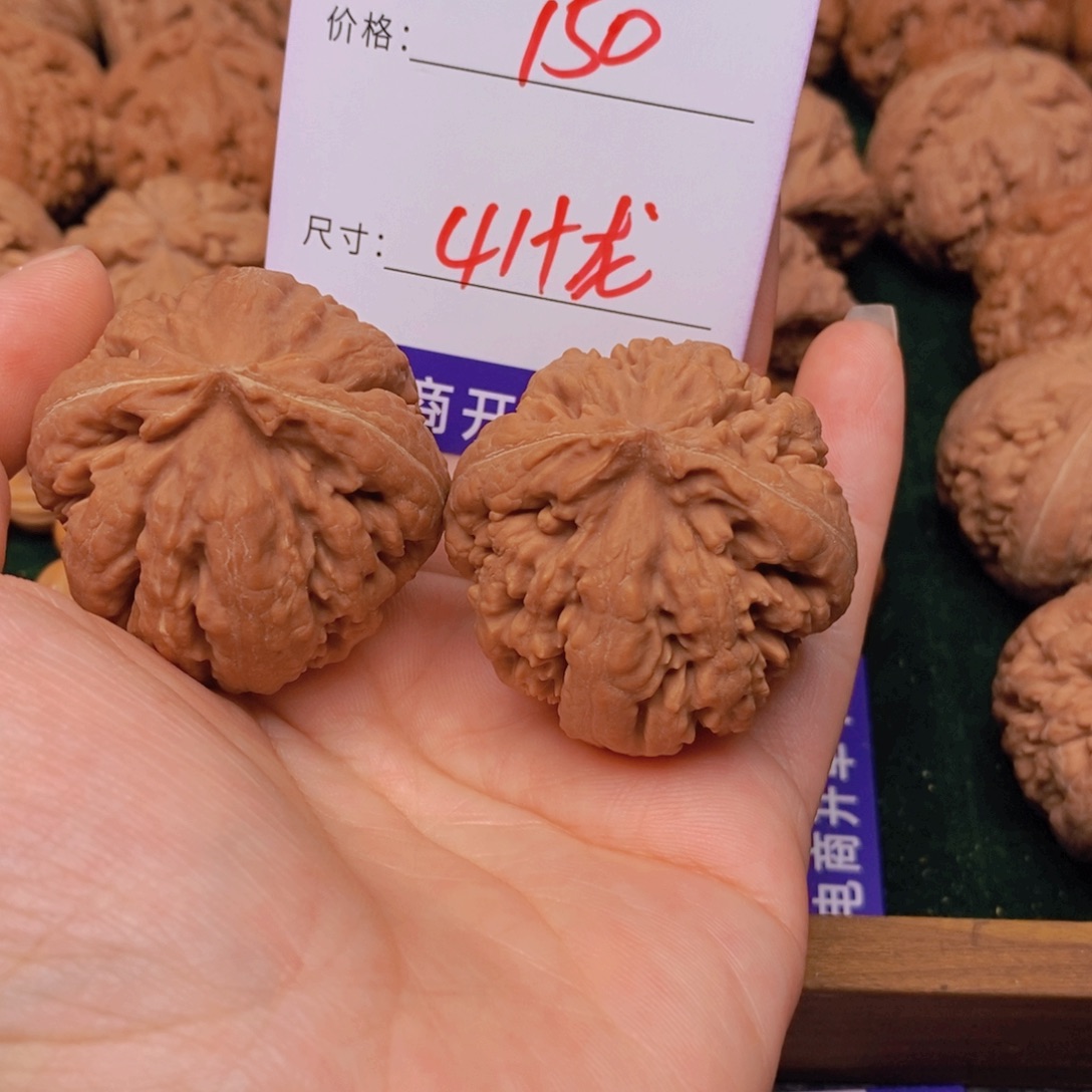 文玩核桃霸王龙核桃