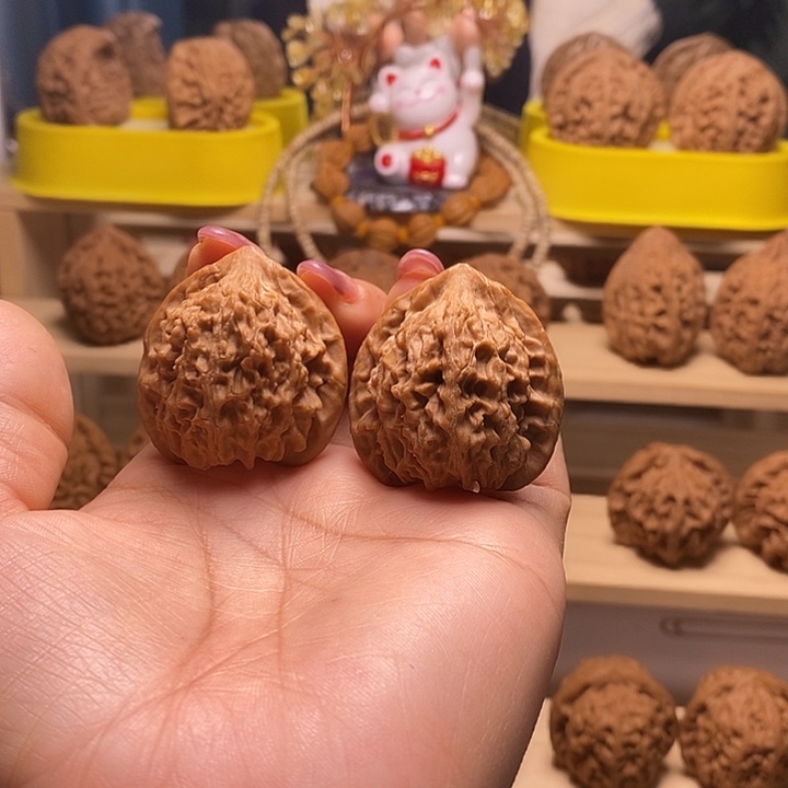 37尺寸的野生公子帽