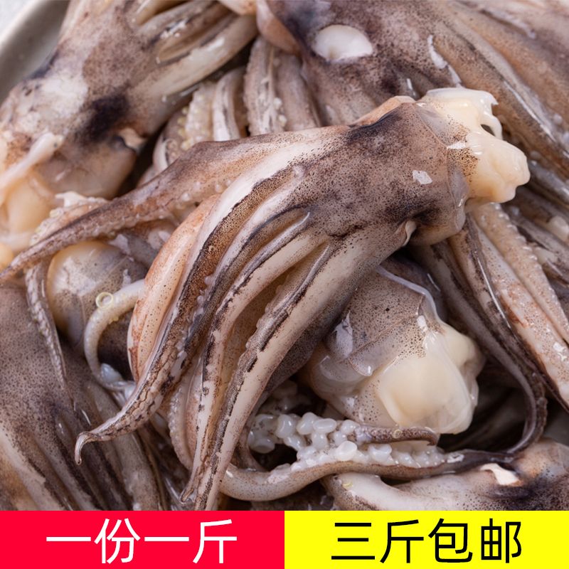 新鲜速冻鱿鱼头须脆嫩爽口适合烧烤火锅的海鲜食材3斤/5斤/10斤