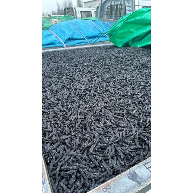 Z尝疆记蓝宝石葡萄干1斤起