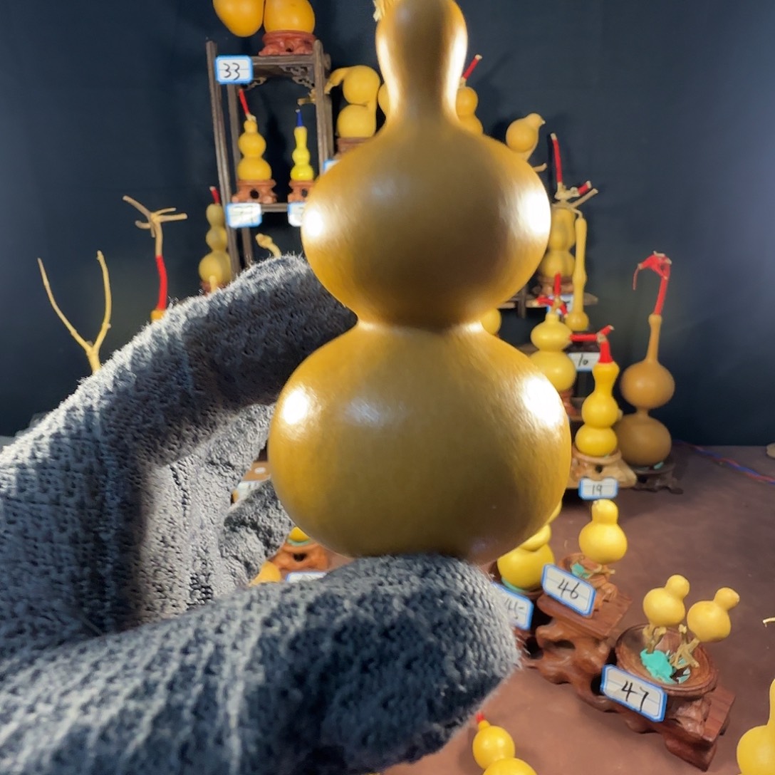 L****21222222222222222222