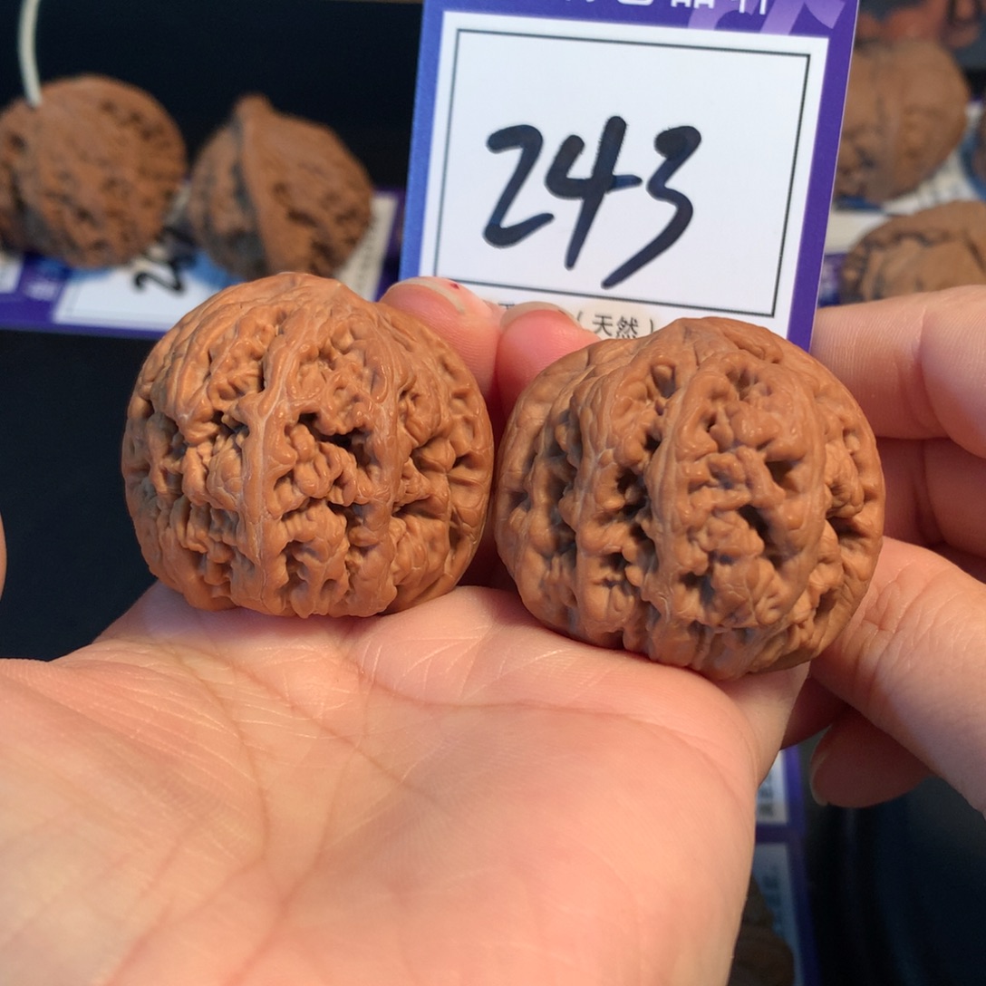把件文玩核桃243粗筋4.0