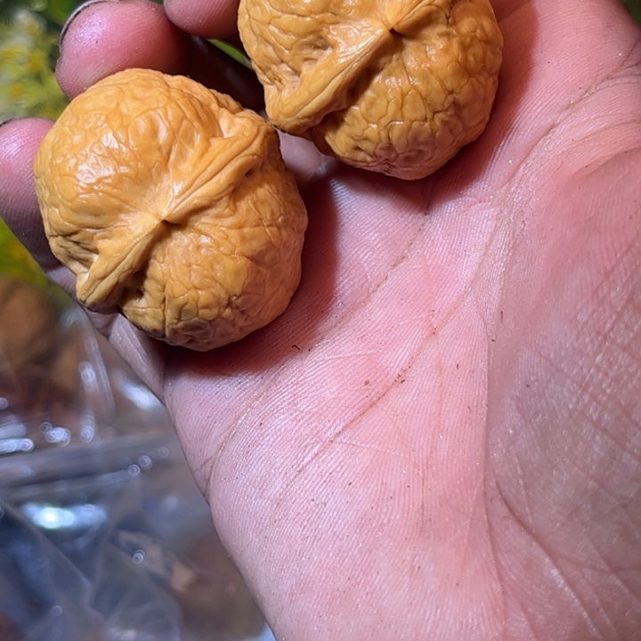 文玩核桃吊坠滇西97