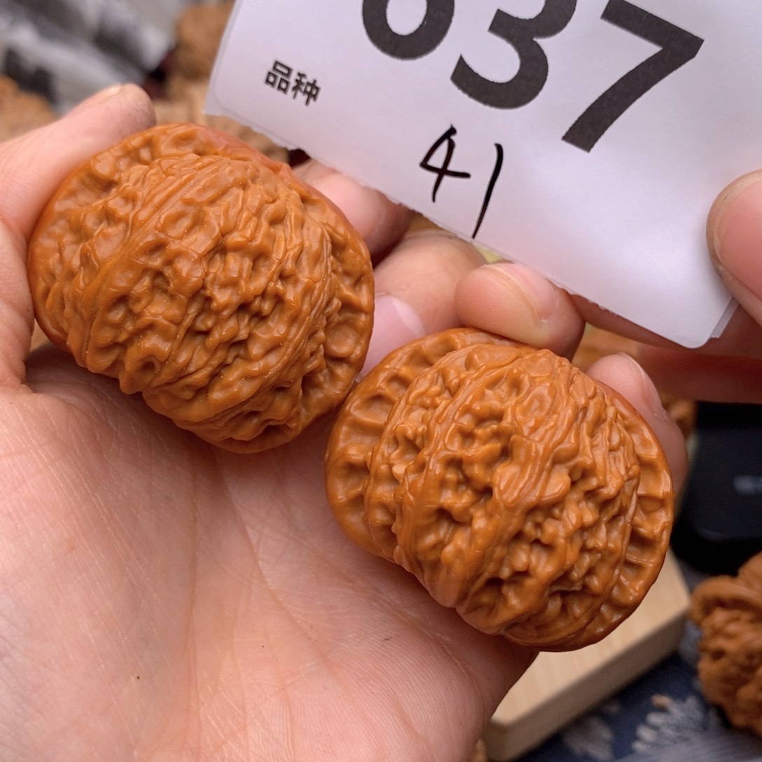 文玩核桃把件637号线41白